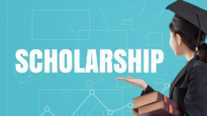seoul national university scholarship for indian students