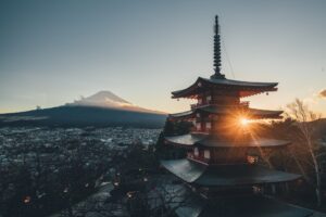 Exploring the OIST Internship in Japan 2024
