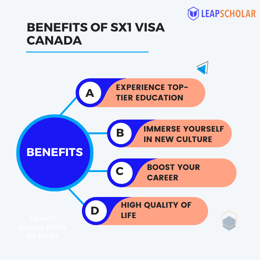 A Guide on SX1 Visa Canada: Requirements, Success Rate & Age Limit