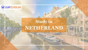 study in netherland