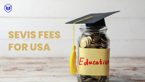 Sevis fees for USA: What is Sevis fees & How to Pay in India