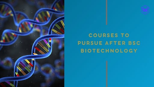 courses after bsc biotechnology