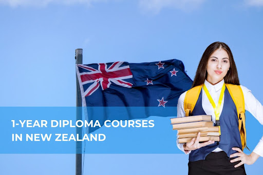 1 Year Diploma Courses in New Zealand