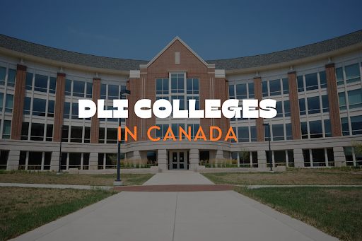 List of Designated Learning Institutions (DLI) in Canada: Approved & Affordable Colleges