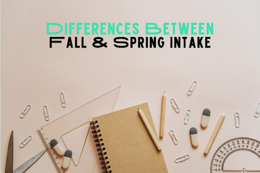 Differences Between Fall and Spring Intake: Pros and Cons