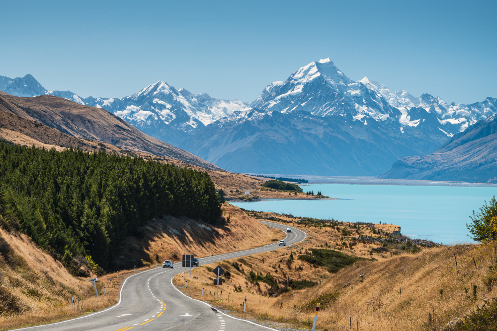 Jobs in New Zealand for Indians 2025