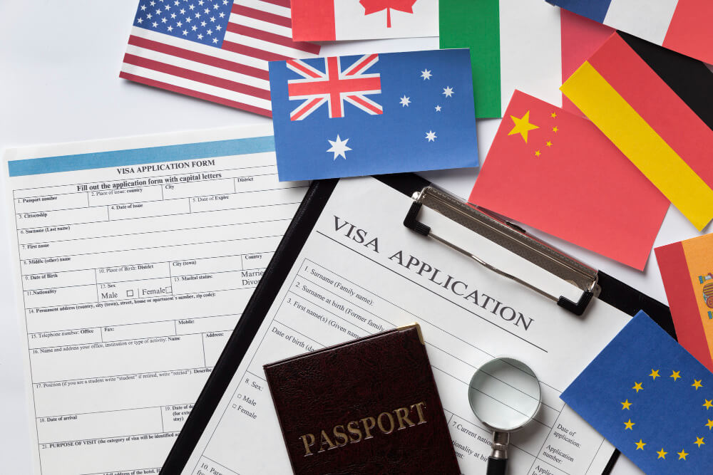 Post Study Work Visa New Zealand: Process, New Rules & Requirement