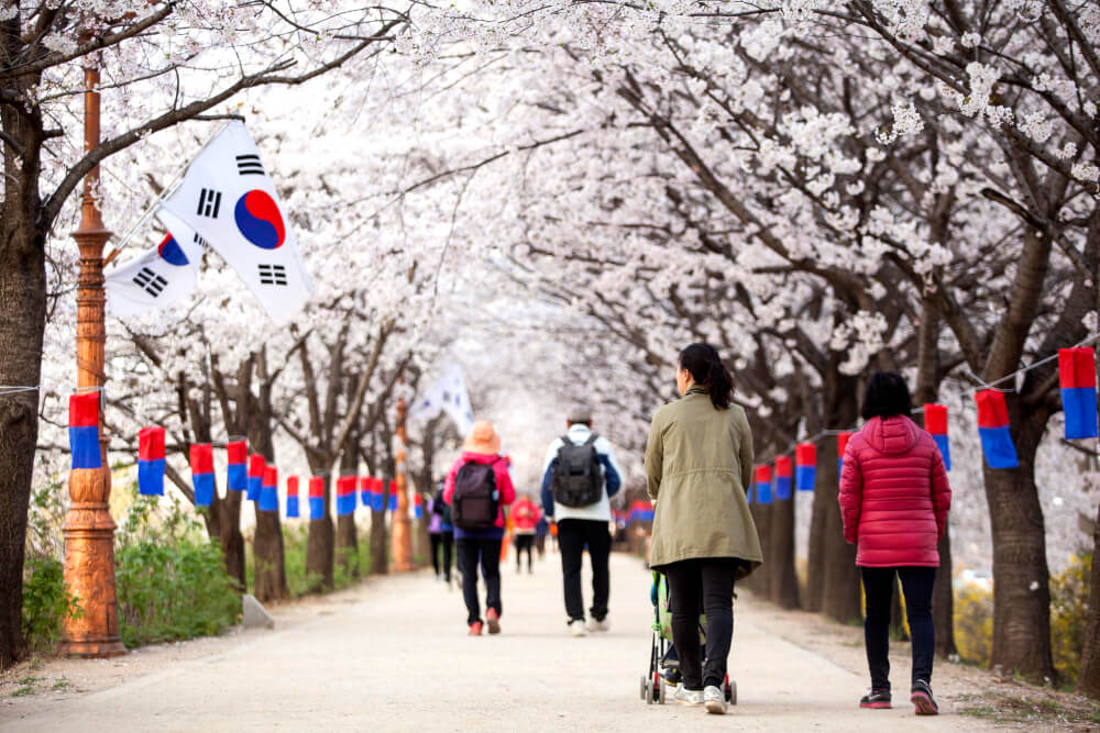 What are the Top Universities in South Korea for International Students?