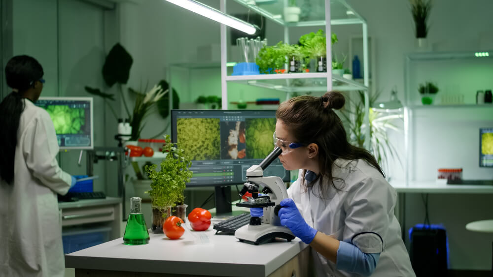 Courses After BSC Biotechnology