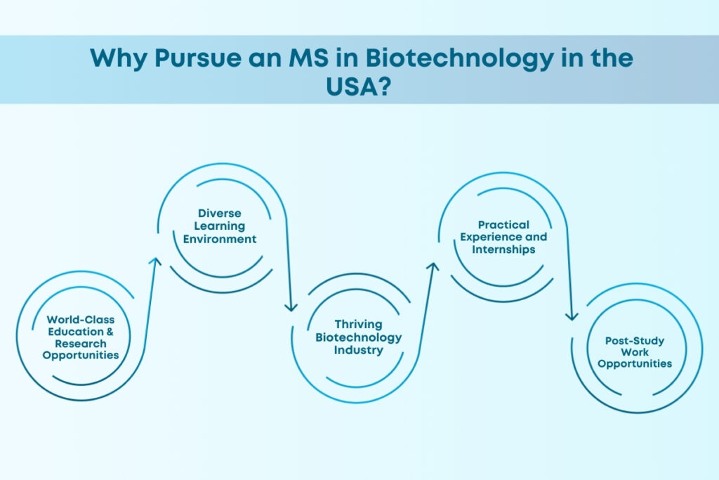 Why Pursue an MS in Biotechnology in USA?