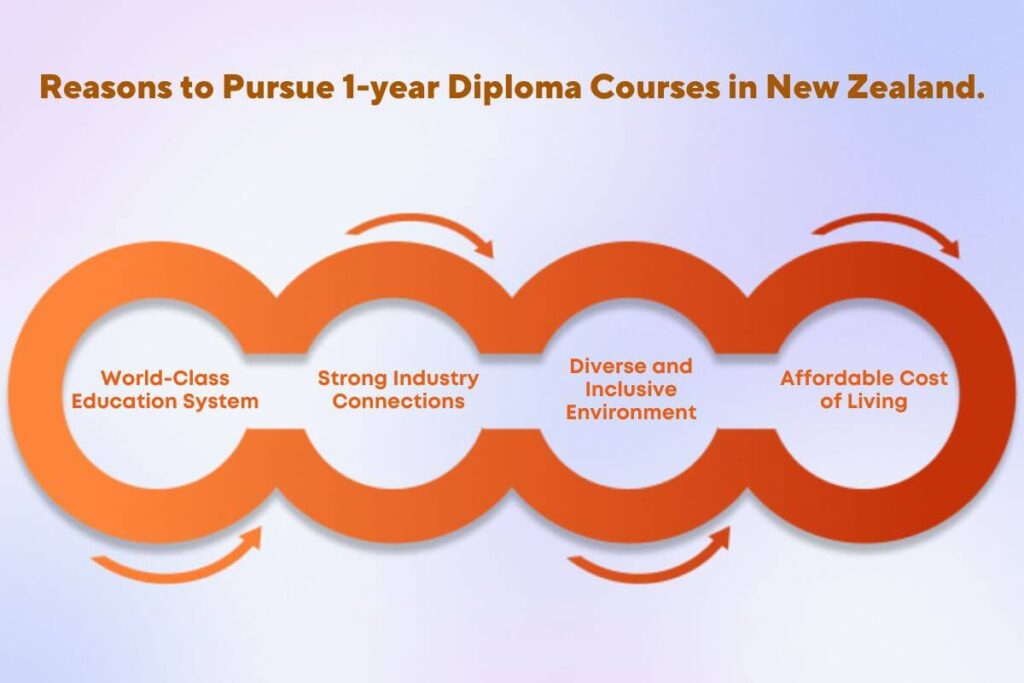 1 Year Diploma Courses in New Zealand for International Students