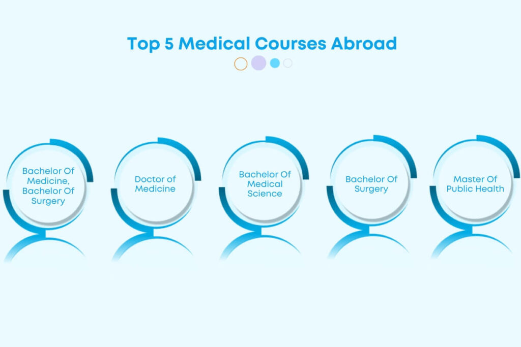 Best Medical Colleges in the World for 2024-25