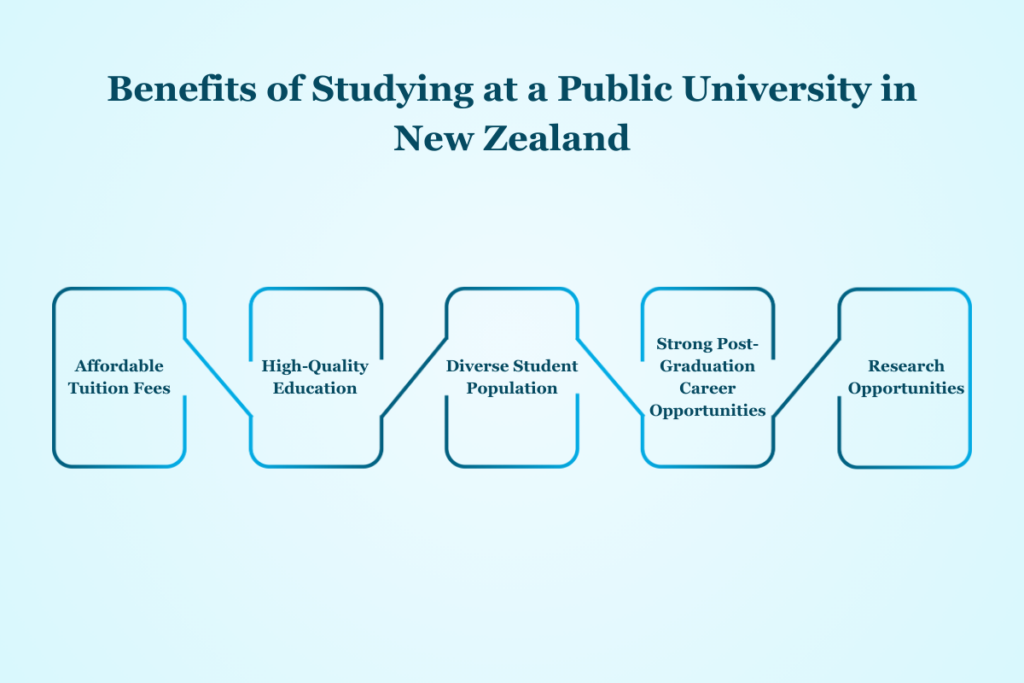 Benefits of Studying at a Public University in New Zealand